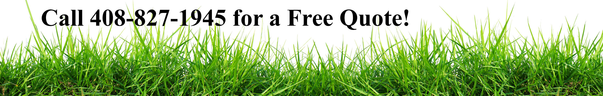 Lawn Mowing Service – San Jose, CA – The Lawn Ranger