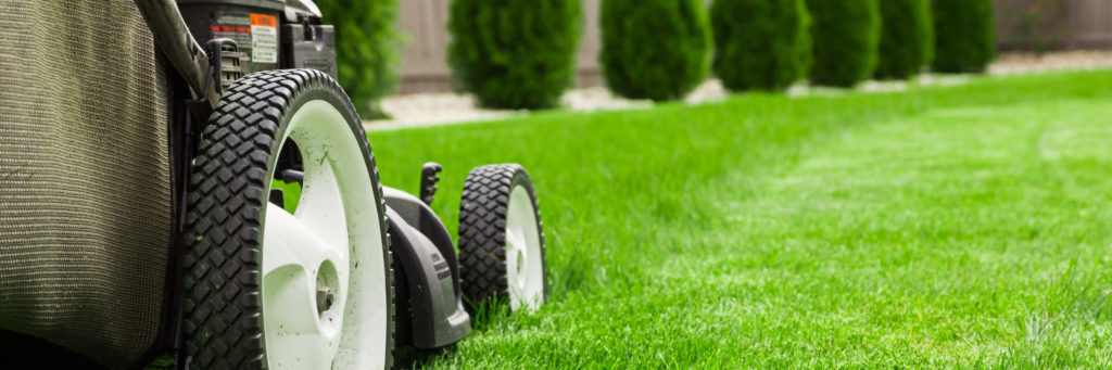 Residential Lawn Mowing in San Jose, CA